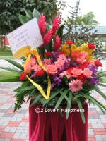 Opening Flower Stand